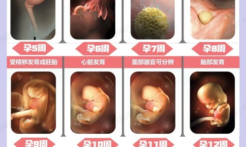 法莫替丁最佳搭配-耐信和法莫替丁的区别网 - 法莫替丁是什,法莫替丁胶囊怎么样