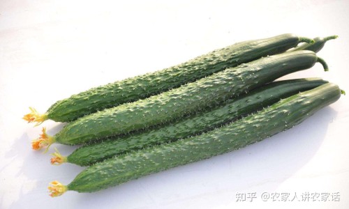 耐信和法莫替丁能一起吃吗-耐信和法莫替丁的区别网 - 法莫替丁是什,法莫替丁胶囊怎么样