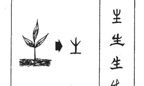 耐信和法莫替丁的区别网 - 法莫替丁是什,法莫替丁胶囊怎么样